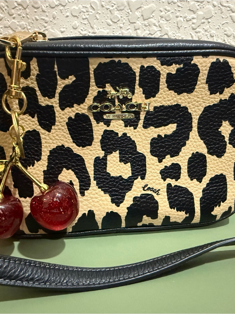 Coach Mini Jamie Leopard Crossbody Bag
